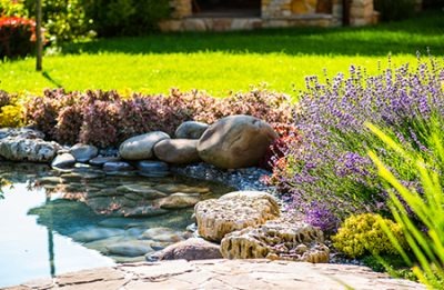 WHAT DOES YOUR LANDSCAPING NEED?